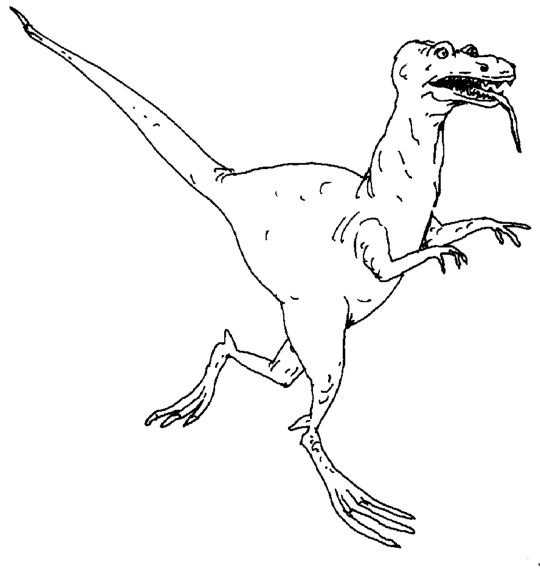 Dinozaury kolorowanki